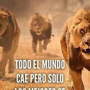 Meet your Posher, Norberto